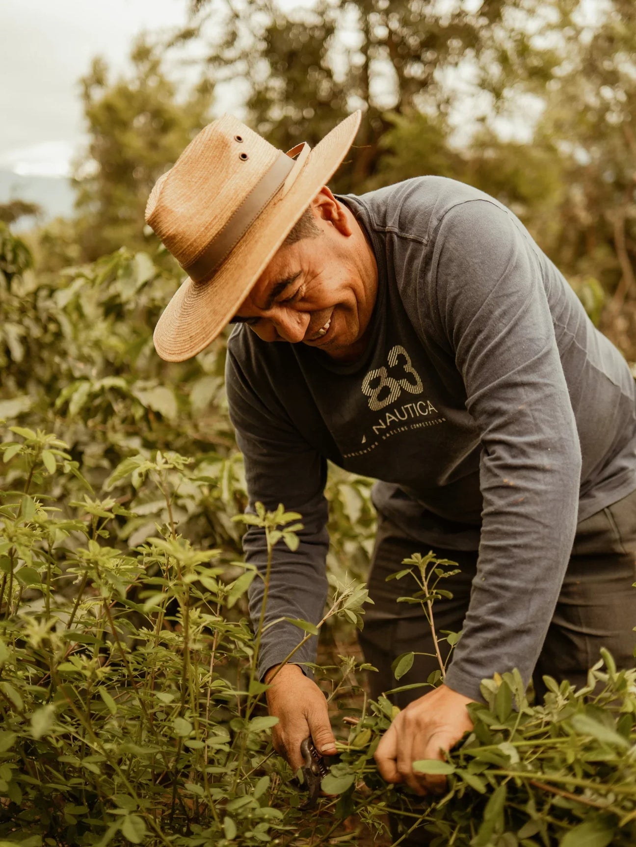 A Guide to Single-Origin Coffee: Discovering Unique Flavors from Around the World